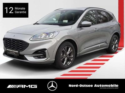 Gebraucht Ford Kuga ST-Line X 150 PS (110 kW) 2023 Solarsilber SUV