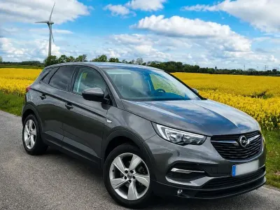 Gebraucht Opel Grandland X Business 131 PS (96 kW) 2018 Grau SUV