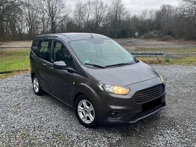 Gebraucht Ford Transit 101 PS (74 kW) 2020 Grau Van / Kleinbus