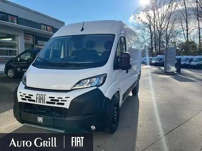 Weiss ducato weiss Gebraucht 2025 Fiat Ducato Van | 34.076 € (Fairer Preis)