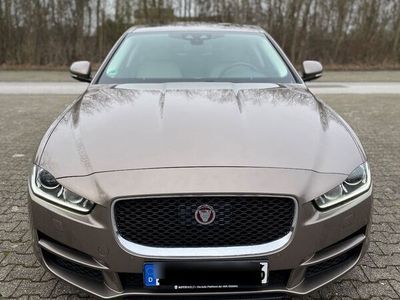 gebraucht Jaguar XE 20d 180PS Prestige AutomatikPrestige*Garantie