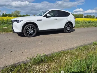 Brugt Mazda CX-60