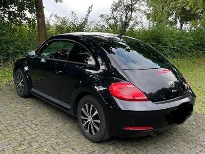 VW Beetle