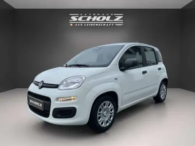 Nouvelle Fiat Panda Icon 65 ch (47 kW) 2026 Blanc Citadine