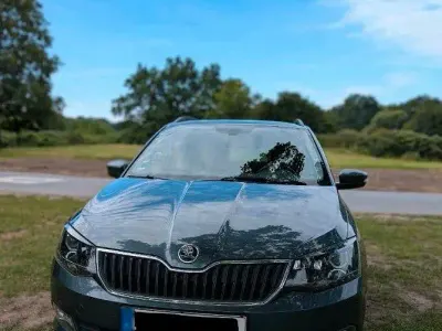 Gebraucht Skoda Fabia