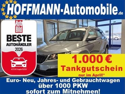 Usata Skoda Karoq Ambition 116 CV (85 kW) 2020 Grigio SUV