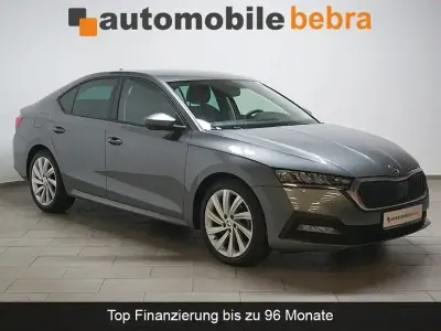 Gebraucht Skoda Octavia Ambition 150 PS (110 kW) 2023 Grau Limousine