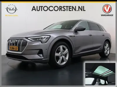 Gebraucht Audi e-tron Business 230 kW (313 PS) 2020 Grau SUV