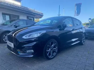 Gebraucht Ford Fiesta ST-Line 101 PS (74 kW) 2019 Obsidianschwarz metallic Kleinwagen
