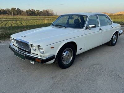 gebraucht Jaguar XJ12 