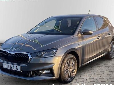 Grau Neu 2025 Skoda Fabia Tour Limousine | 23.490 € (Fairer Preis)