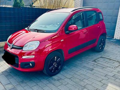 Gebraucht Fiat Panda 86 PS (63 kW) 2014 Rot Kleinwagen