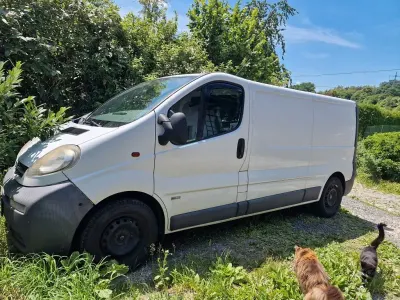 Gebraucht Opel Vivaro