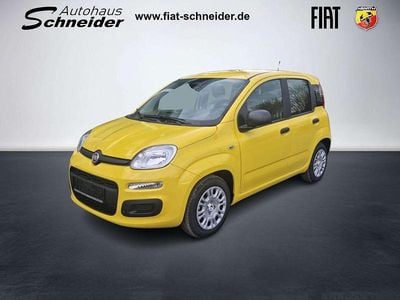Nouă Fiat Panda Icon 65 CP (47 kW) 2026 Galben Hatchback