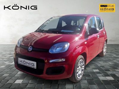 Rot Neu 2025 Fiat Panda Kleinwagen | 14.289 € (Fairer Preis)