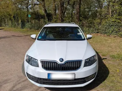 Gebraucht Skoda Octavia Elegance 179 PS (131 kW) 2015 Weiß Kleinwagen