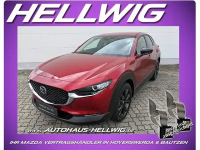 Neu Mazda CX-30 Homura-Line 140 PS (102 kW) 2026 SUV