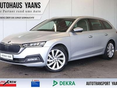 Gebraucht Skoda Octavia Style 150 PS (110 kW) 2023 Silber Kombi