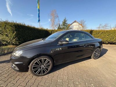 VW Eos