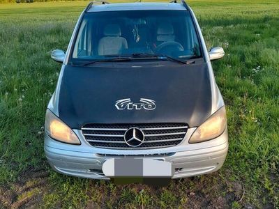 Mercedes Viano