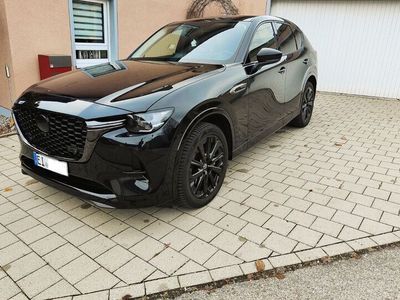 gebraucht Mazda CX-60 2.5 e-SKYACTIV PHEV Homura Auto AWD Homura