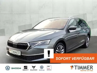 Neu Skoda Octavia 150 PS (110 kW) 2026 Grau Kombi
