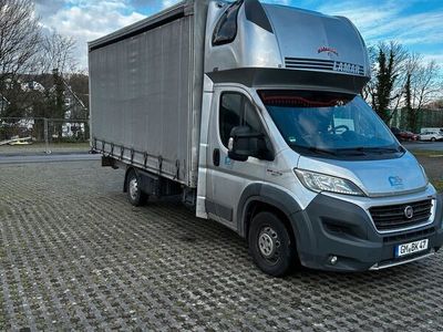 gebraucht Fiat Ducato Pritsche plane