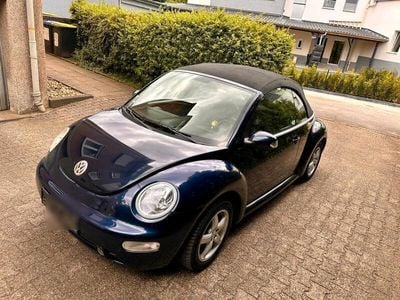 VW Beetle
