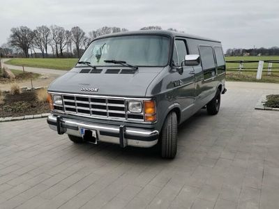 gebraucht Dodge Ram Van