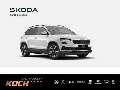 Weiß Neu 2025 Skoda Karoq Tour SUV | 34.799 € (Guter Preis)