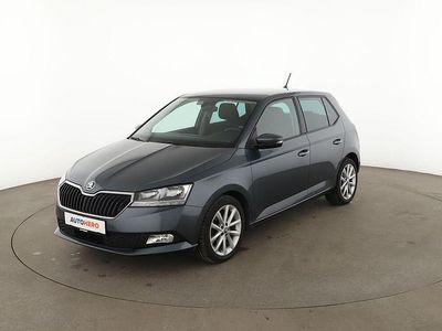 Grau Gebraucht 2021 Skoda Fabia Ambition Kleinwagen | 16.620 € (Fairer Preis)