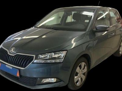 Grau Gebraucht 2020 Skoda Fabia Active Kleinwagen | 12.800 € (Fairer Preis)