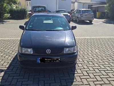 VW Polo