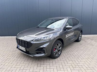 Gebraucht Ford Kuga ST-Line X 152 PS (111 kW) 2024 Grau SUV
