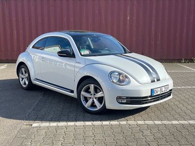 VW Beetle
