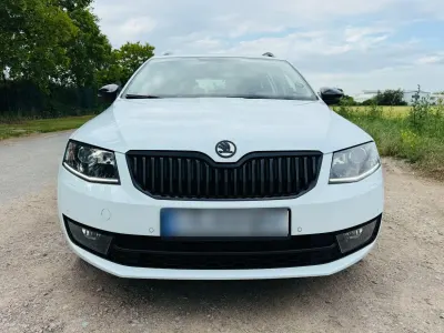 Gebraucht Skoda Octavia Joy 110 PS (80 kW) 2017 Weiß Kombi