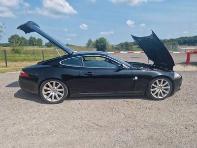 Jaguar XK