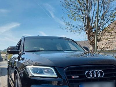 gebraucht Audi SQ5 3.0TDI tiptronic *Pano*Keyless*B&O*