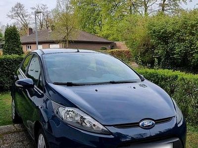 Usata Ford Fiesta Trend 82 CV (60 kW) 2010 Blu Utilitaria