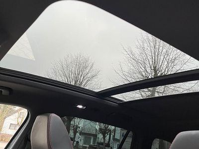 Grau Gebraucht 2020 Skoda Kodiaq RS SUV | 29.700 € (Guter Preis)