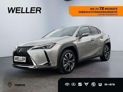 Lexus UX 250h