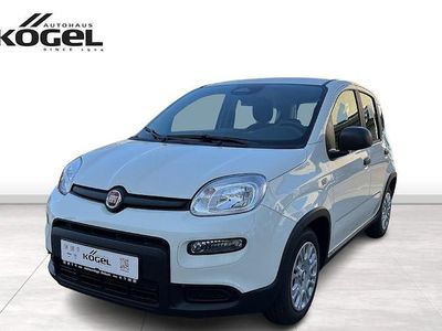Gebraucht Fiat Panda 70 PS (51 kW) 2024 Weiß (gelato weiss) Kleinwagen