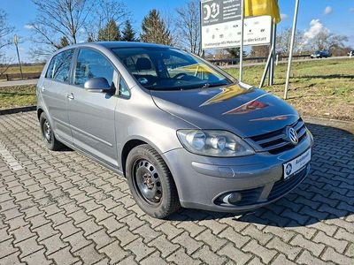 Usata VW Golf Plus Cross 80 CV (58 kW) 2007 Grigio Monovolume