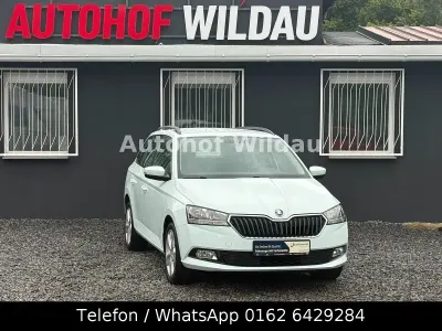 Gebraucht Skoda Fabia Cool Plus 75 PS (55 kW) 2019 Weiß Kleinwagen