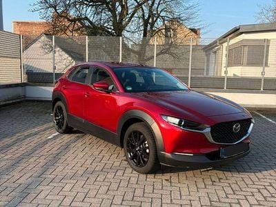 Gebraucht Mazda CX-30 Exclusive-Line 122 PS (89 kW) 2022 Rot SUV