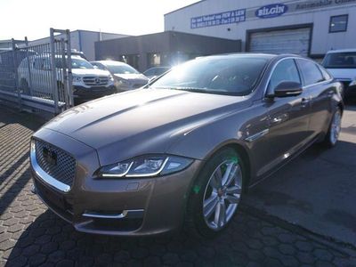 Braun Gebraucht 2016 Jaguar XJL Premium Luxury Limousine | 16.900 €