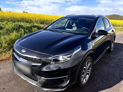 gebraucht Kia XCeed 1.6 CRDi 48V DCT Vision Vision TOP!!!