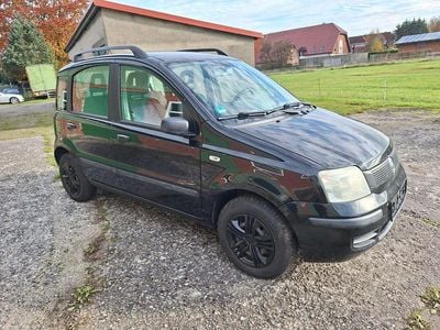 Schwarz Gebraucht 2006 Fiat Panda Kleinwagen | 1.690 € (Fairer Preis)