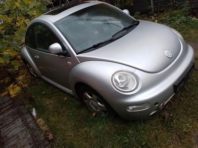 VW Beetle