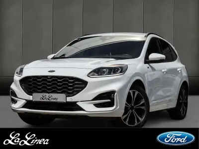 Gebraucht Ford Kuga ST-Line 120 PS (88 kW) 2023 Weiß SUV